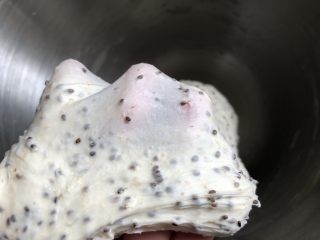 4、奇亚籽无糖小面包,揉到检查面团可以拉出稍微薄的膜即可