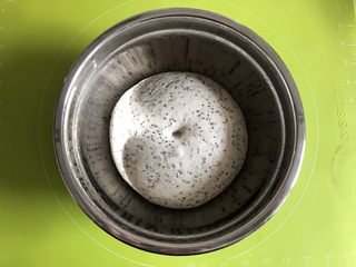 6、奇亚籽无糖小面包,盖上湿毛巾，进行第一次发酵，可以利用烤箱的发酵档或者温暖湿润处发酵，1个小时以后，面团发酵到2倍大，取出可以用手指沾一点面粉戳一下，不会回缩即可