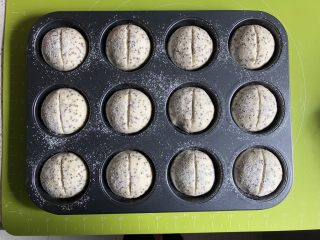 13、奇亚籽无糖小面包,用面包割刀在面团上割一刀