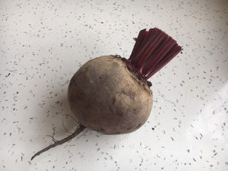 1、米醋浸甜菜根（营养美味佐餐小菜）,这就是我们今天分享菜谱的主角甜菜根，甜菜根又称紫菜头，虽然其貌不扬，但是其营养价值非常高。甜菜根中具有自然红色维生素B12和优质的铁质，是妇女与素菜者补血的最佳自然营养品。甜菜根颜色越深品质越好。