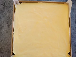 11、红枣酸奶戚风蛋糕,28*28烤盘放上油纸，到入蛋糕液体，预留7克一会儿裱花