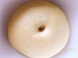 5、软软软软软的南瓜小餐包（淡奶油版）,第一次发酵完成，取出面团排气。