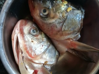 1、一学就会的,酸爽可口,驱寒暖胃的酸菜鱼头汤,鱼头,最好提前用姜和盐巴腌制10分钟,入味,这样才能做到鱼头好吃,而汤不咸。