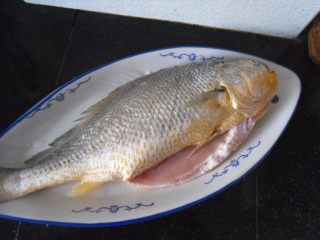 1、红烧大黄鱼,把大黄鱼收拾干净 