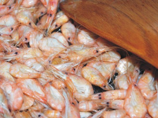 5、芥末汁白米虾,煸炒到白米虾熟透