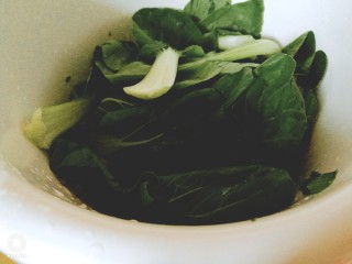 9、快手菜，腊肉番茄豆腐汤,同时另起一锅加水大火烧开，加入盐、油煮、菜胆快速焯水捞出。