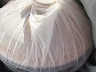 7、甜酒酿,做好保温工作，静置36小时。