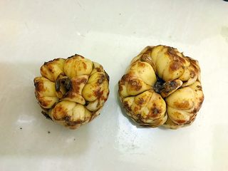 1、葱油枸杞鲜百合,准备两个鲜百合!