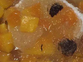 4、海椰王木瓜炖燕窝,整个炖煮过程是一小时半，隔水炖煮，炖好后马上熄火整锅取出，然后下大冰糖