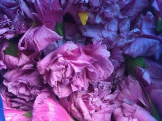 1、煎花饼,木槿花取花瓣