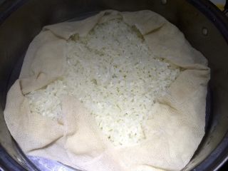 4、自酿甜酒（酸奶机版）,边步盖上糯米，加盖蒸40分钟左右，一定要蒸熟，多蒸一二十分钟没有关系