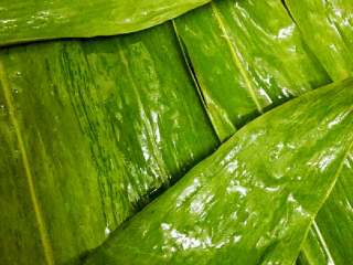 2、#年夜饭#八宝糯米饭,蒸笼铺上粽叶或者屉布