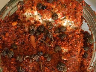 6、自制油豆腐乳,装罐，每放一层豆腐，放一层花椒，就大功告成了。喜欢吃油腐乳的可以腌制7后自己加一点生菜油直接倒入罐子，盖好盖子，。