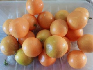 1、天然止咳药-金桔冰糖水,准备350克金桔洗干净。