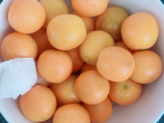 3、天然止咳药-金桔冰糖水,金桔放入碗里面，加入少量的盐。