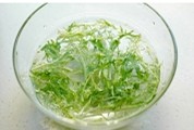 2、果醋拌木耳,用冷水将洗干净的苦菊泡在容器里备用。