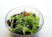 9、果醋拌木耳,最后,从冷水中将苦菊捞出,放在木耳上轻轻翻拌,就可以食用啦。