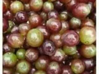 1、学做葡萄酒，比买的要好喝100倍！好喝又健康，错过了不要后悔,1.把葡萄洗干净，沥干水份。