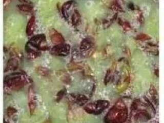 2、学做葡萄酒，比买的要好喝100倍！好喝又健康，错过了不要后悔,2.放到容器里把它捏碎。