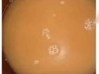 9、学做葡萄酒，比买的要好喝100倍！好喝又健康，错过了不要后悔,9.再倒入容器里密封好再发酵一个星期。