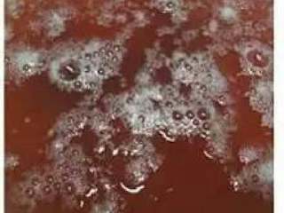 12、学做葡萄酒，比买的要好喝100倍！好喝又健康，错过了不要后悔,12.把它打成泡沫，把它放入酒中。