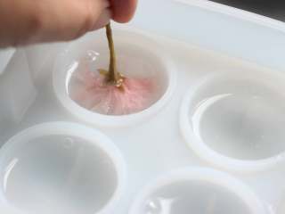 4、樱花水信玄饼,模具里先加入一半的液体，根据樱花大小，选择放一朵或二朵樱花，花朵花瓣朝下放入，上下按压使花瓣自然舒展开。