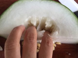 4、【冬瓜薏米猪骨汤】·利尿祛湿、美容瘦身、消除水肿,冬瓜用手指扣去内瓤的籽，保留内瓤