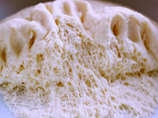 16、萝卜丝发面饼#王氏私房菜#,这是发好的面团