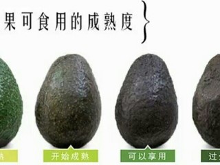 2、牛油果Pasta,根据做美食需要选择适合生熟程度的牛油果。