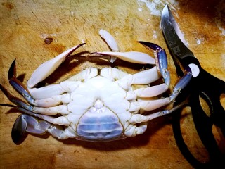 4、家庭简易版螃蟹海鲜粥,先清洁螃蟹，大剪刀准备好，取一只螃蟹背朝菜板。