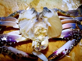 7、家庭简易版螃蟹海鲜粥,再把螃蟹身上两侧的绒毛剪下，如图，我只剪了一侧。
