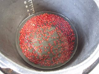 3、红豆西米露,泡好的红豆放入电压力锅，加入稍稍没过红豆的清水。