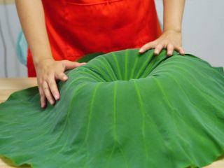 7、蒸鸡不增脂，减肥好膳食—清香荷叶蒸鸡,新鲜荷叶展开，放入腌制好的鸡腿