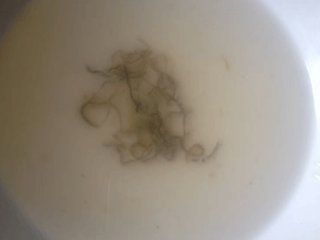 2、蒜蓉粉丝开片虾 ,用一个小碗装半碗清水,将每只虾的虾线挑出;