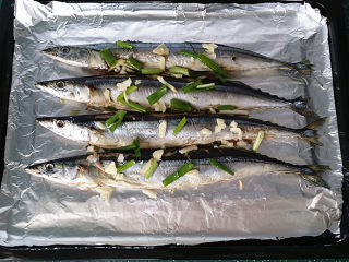 3、烤秋刀鱼,将腌好秋刀说取出冲洗盐卤后控干水份、双面划几刀放至刷过簿油的锡纸上、表面重新放些葱姜蒜沫