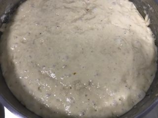 2、梦幻芝士软欧,制作葡萄种：所有材料混合拌匀发酵至如图