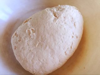 1、家庭改良版牛肉夹馍,面粉加水和酵母，混合揉成面团，放温暖处发酵