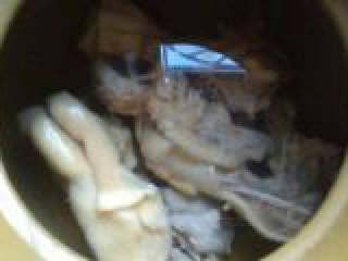 5、椰子鸡汤,把焯过水的鸡肉放入砂锅中，放入适量的清水。