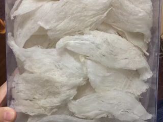 1、止咳润肺燕窝蜜,取一片燕盏条