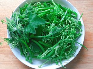5、清炒南瓜苗,把南瓜茎折成小段。（最尖端部位的小嫩苗无需特别处理）