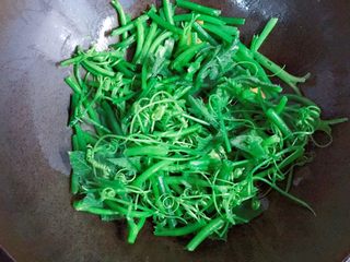 9、清炒南瓜苗,开大火，放入南瓜茎爆炒。