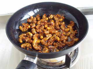 4、香辣知了猴,煎到变金黄，翻身，煎金黄。放入一茶匙盐，五香粉，孜然粉，辣椒粉拌匀