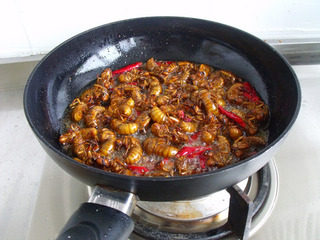 5、香辣知了猴,放入辣椒段和花椒，炒到花椒微黄