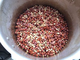 2、薏米红豆沙～中秋必备的健康馅料,第二天早上起来，把泡好的薏米红豆捞出来倒高压锅里