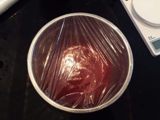 7、红丝绒玛德琳蛋糕,盖上保鲜膜，冰箱冷藏一小时