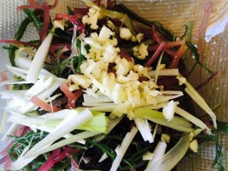 4、凉拌石花菜,放入盐、味极鲜酱油、醋、葱丝、蒜末搅拌均匀