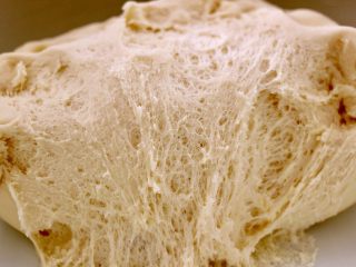 3、花样豆沙包,醒发好的面团组织呈蜂窝状态