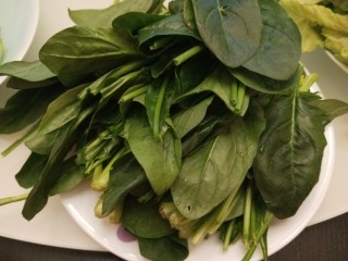6、冬日暖心菜+在家吃火锅,菠菜清洗干净控水装盘。