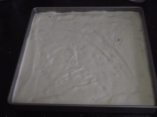 12、百香果蛋糕卷,倒入蛋糕糊，推至四角后，震出大气泡，放入预热好的烤箱中层，上下管150度28分钟左右即可