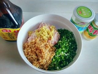 6、虾皮猪肉馄饨,调制馅料：将肉馅、虾皮、葱花、老姜碎放入一个大碗中，顺着一个方向搅拌均匀，加入10克味极鲜酱油、2克盐、2克鸡精拌匀。